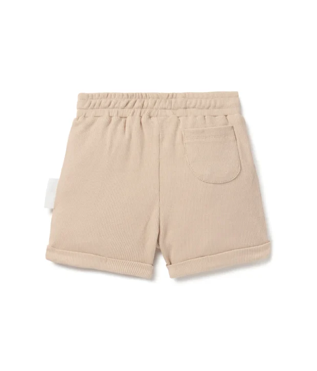 aster & oak taupe shorts 3