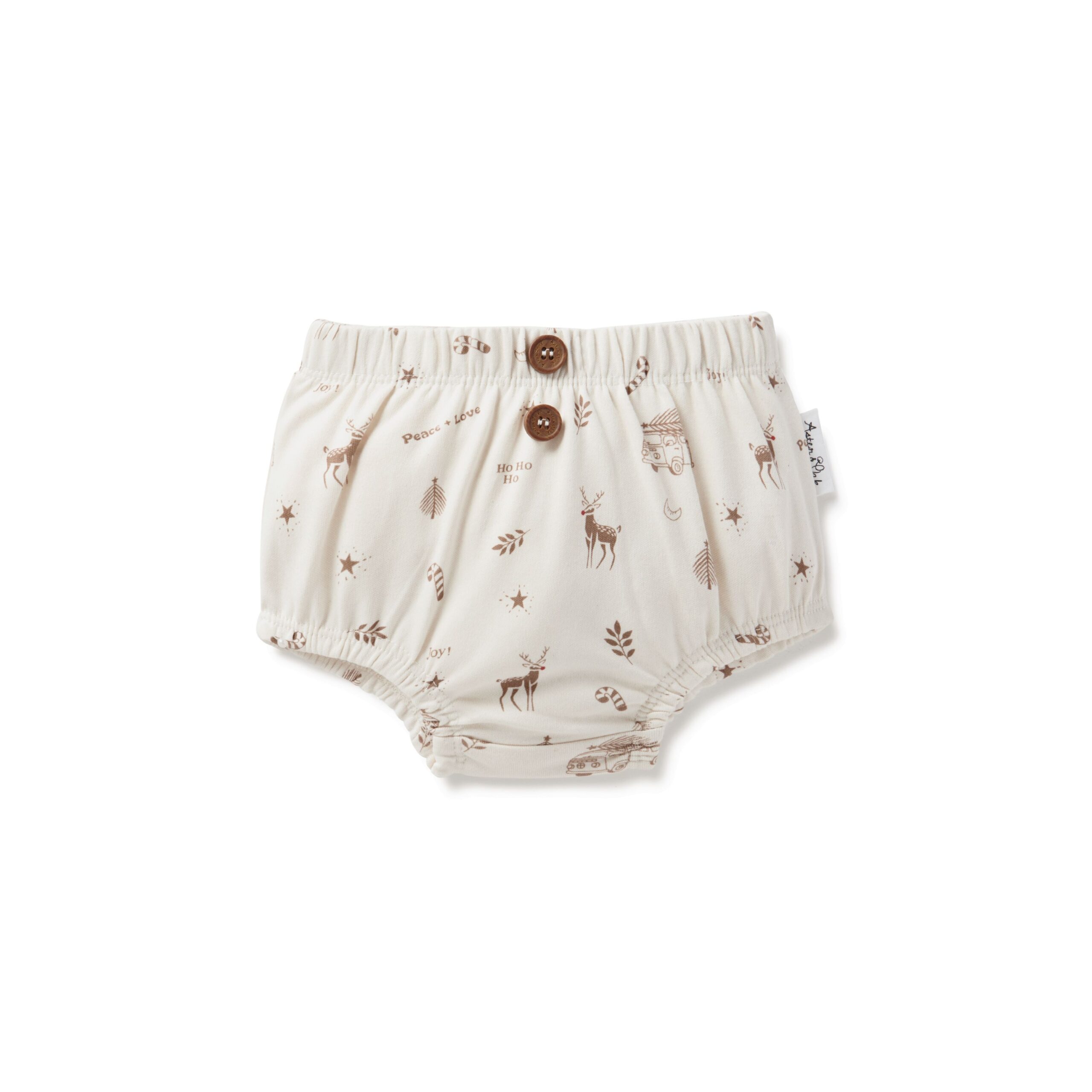aster oak holidays bloomers scaled